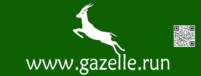 gazelle.run  奔跑吧――瞪羚――等天使 寻合作